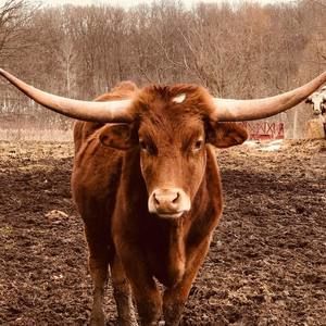 Meet your Posher, Naomi